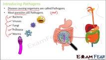 Biology Human Health & Diseases part 4 (Pathogens, Parasites & Host) class 12 XII