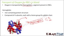 Biology Breathing & Exchange of Gases part 13 (Transport of oxygen gas) CBSE class 11 XI
