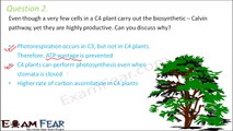 Biology Photosynthesis in Higher Plants Part 24 (Questions) CBSE class 11 XI