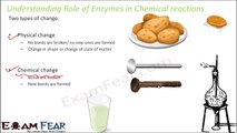 Biology Biomolecules Plants part 18 (Chemical reaction: enzymes) CBSE class 11 XI