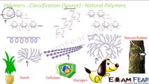 Chemistry Polymers part 3 (Classify polymers based on Source) CBSE class 12 XII