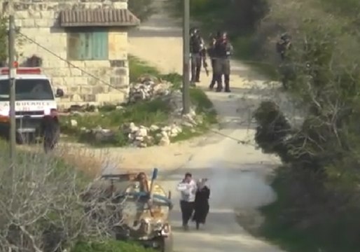 Israeli Activists Capture Video of Border Guards Throwing 'Stun Grenade' at Palestinian Couple and Child