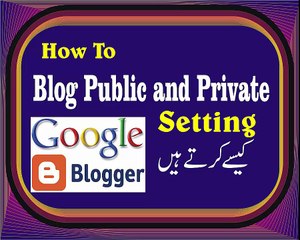 How To Blog Public and Private Setting Urdu Hindi David