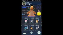 100% IV BLISSEY DESTROYED Dragonite, Snorlax, Gyarados in Gym! Pokemon go CHANSEY EVOLUTION