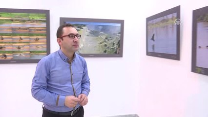 Hekim Fotoğrafçının Gözünden Yaban Hayatına Tanıklık