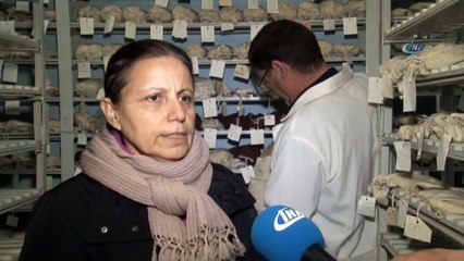 Eksi 19 Derecede Şifreli Odalarda Saklanıyor