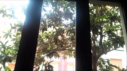 Nacu Impresa Di Pulizie