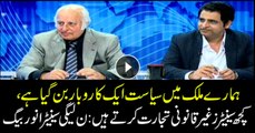 PML-N senator says some politicians involved in unlawful trade, politics has become business