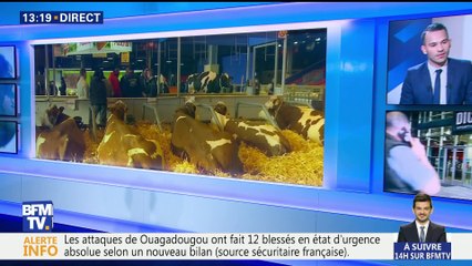 La high-tech est dans le pré