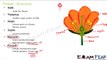 Biology Reproduction part 13 (Sexual reproduction: Flower Structure) CBSE class 10 X