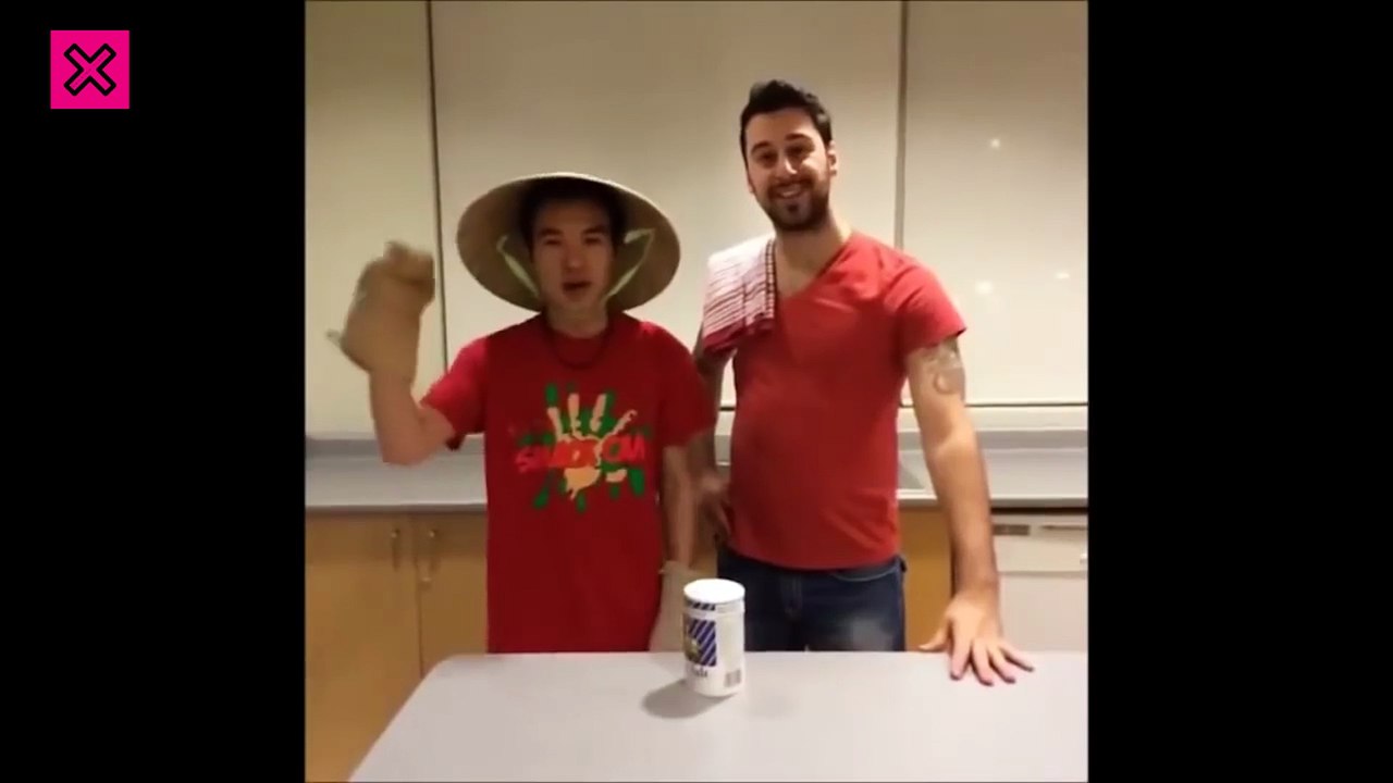 VIDEO DE GATOS GRACIOSOS