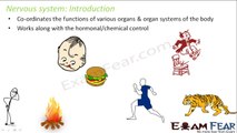 Biology Control & Co-ordination part 12 (Nervous System: Introduction) CBSE class 10 X