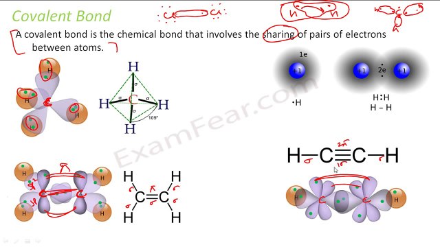 Chemistry Organic Chemistry Basics part 23 (Bond cleavage: Heterolytic & Homolytic) CBSE class 11 XI