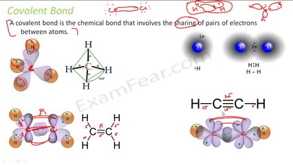 Chemistry Organic Chemistry Basics part 23 (Bond cleavage: Heterolytic & Homolytic) CBSE class 11 XI