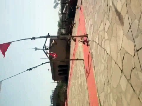 Funny monkeys playing in temple