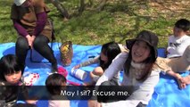 Hanami - Sakura - Cherry Blossoms - 花見 - My Life in Japan - 1 - English Lesson on Japanese Culture