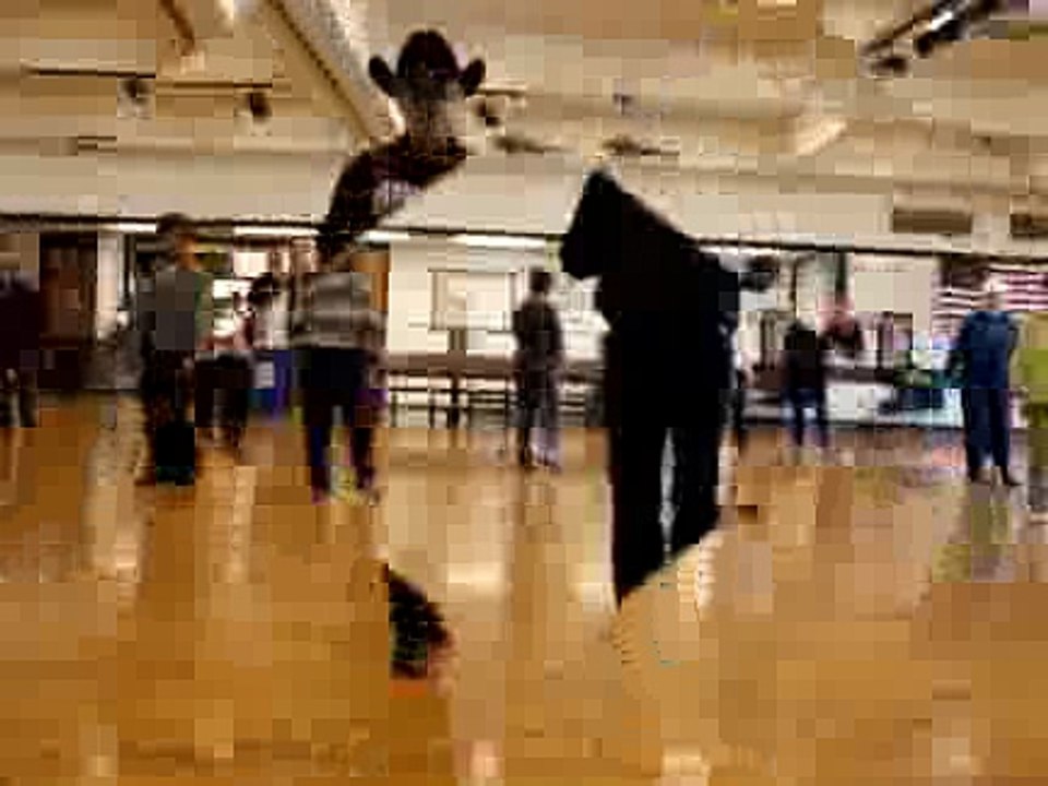 Dancin With You ( Line Dance )