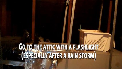 How to Save $20K in 20 Minutes