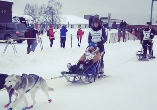 Dogs, Sleds, and Snow: The Iditarod Trail Race Begins