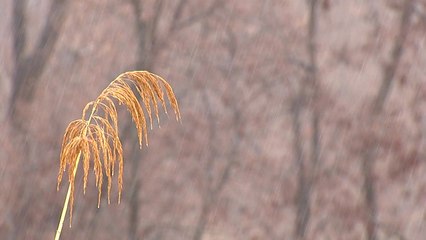 예년보다 포근한 휴일...오후부터 전국 비 / YTN