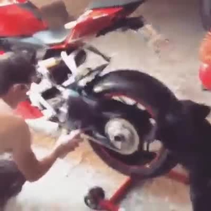 Man's best friend indeed ;)