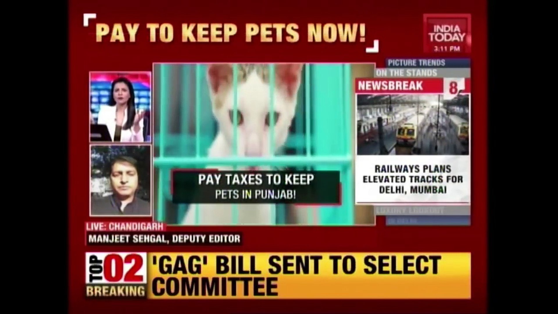 Punjab Govt Asks Citizens To Pay Taxes To Keep Pets At Home