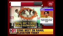 Sonia Gandhi To Chair Crucial Congress Meet ; Rahul Gandhi Set For Elevation ?