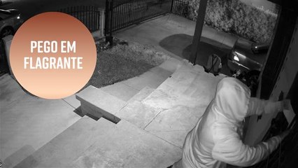 Um intruso fora do comum