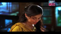 Mein Mehru Hoon Ep 61 - on ARY Zindagi in High Quality 6th March 2018