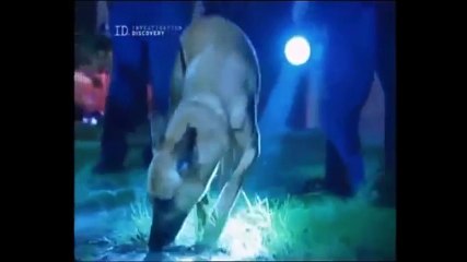 ÖZEL DEDEKTİF HİZMETLERİ