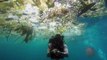 Ce plongeur nage dans un océan de plastique