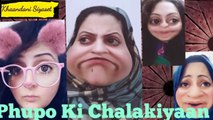 Phupo Ki Chalakiyaan khandani siyasat