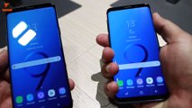 Samsung Galaxy S9 Vs Galaxy S9  The Main Differences