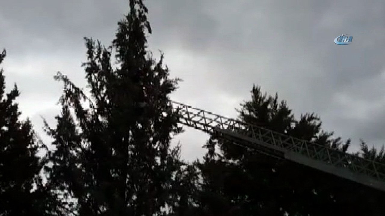 Ağaca takılan güvercinleri itfaiye ekipleri kurtardı
