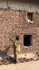 Cattle and Farming in Pakistan