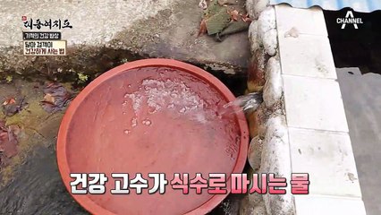 달마 검객이 실존한다?! 달마처럼 눈썹 기르려면 '이것' 하라?!
