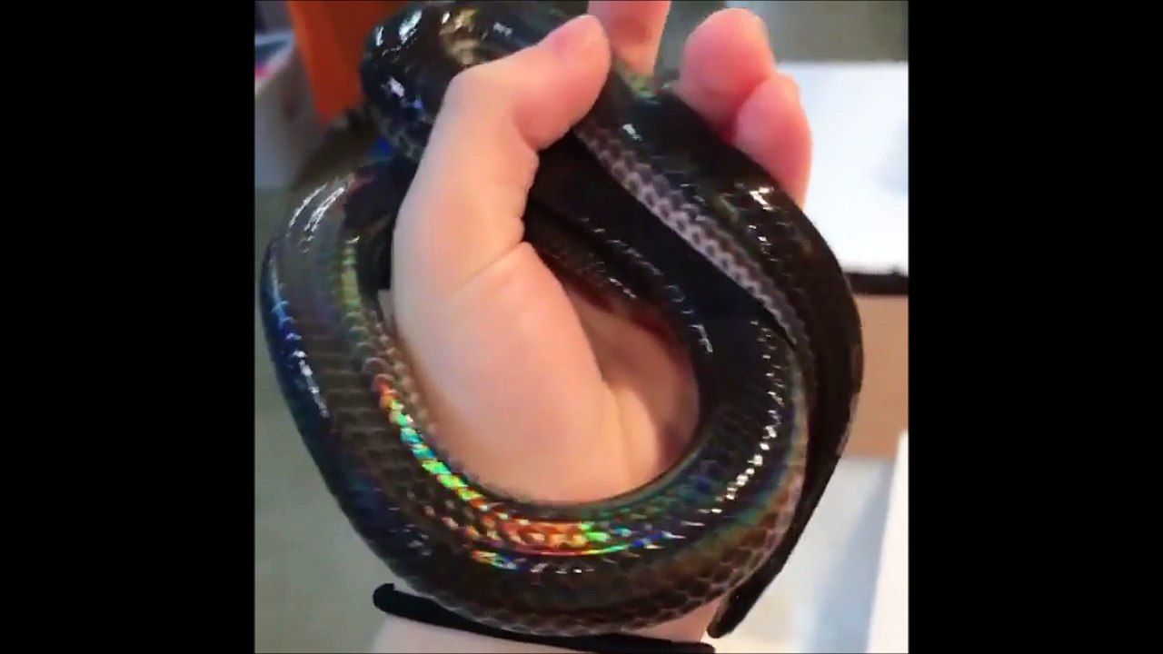 Ce serpent est juste magnifique... Peau de toutes les couleurs