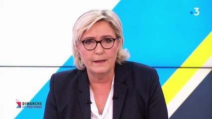 "C'est la seule chose qui me manquait au tableau des persécutions", ironise Marine Le Pen à propos d'un contrôle fiscal supposé