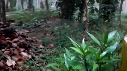 GHOST Sitting On Bed Caught On CCTV Camera!! Ghost House!!