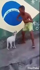 DOG ENJOY BIHARI SONGS