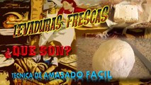 LEVADURAS -QUE SON- MAS TÉCNICA DE AMASADO  FÁCIL