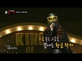 【TVPP】Luna(f(x)) - Flying butterfly, 루나(에프엑스) - 나는 나비 @ King of Masked Singer