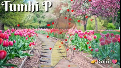 Hey Shona - Ta Ra Rum Pum - Shaan - Sunidhi Chauhan - Lyrics - WhatsApp Stickers Video - YouTube