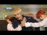 【TVPP】BTS - Blood Sweat & Tears, 방탄소년단 – 피 땀 눈물@Show Music Core
