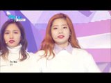 【TVPP】 Twice – TT, 트와이스 – 티티 @Show Music Core