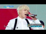 【TVPP】WINNER - REALLY REALLY, 위너 - 릴리 릴리 @Show Music Core