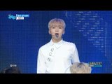 【TVPP】 SEVENTEEN - Don't Wanna Cry, 세븐틴 - 울고 싶지 않아 @ Show Music core