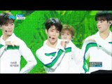 【TVPP】 ASTRO - Baby, 아스트로 – 베이비 @Show Music Core Live