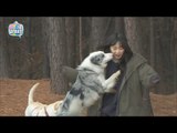【TVPP】AOA - Mina received surprise kiss by dog, 민아, 강아지에게 기습뽀뽀 당하고 '멘붕' @MLT