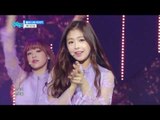 【TVPP】 April – April Story, 에이프릴 - 봄의 나라 이야기 @Show! Music Core